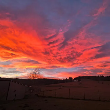 民宿 Przy Polanie *