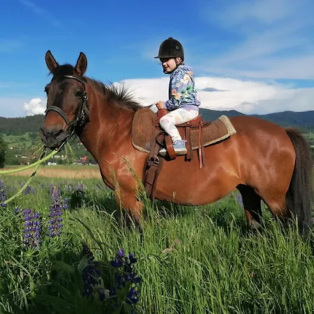 Przy Polanie * Строне-Слёнске