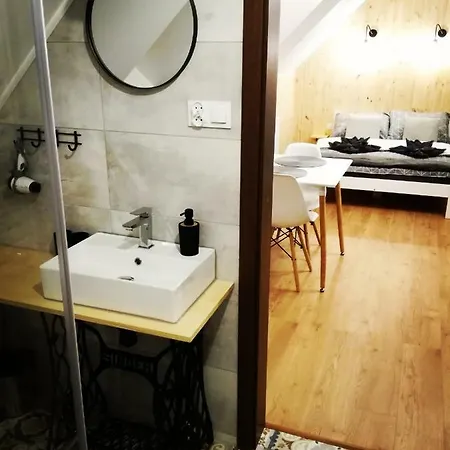 民宿 Przy Polanie *