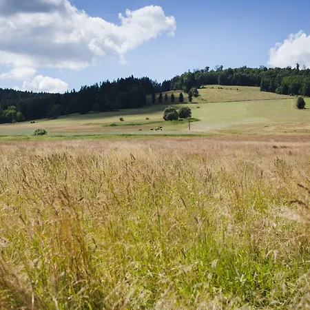 Privatunterkunft Przy Polanie *