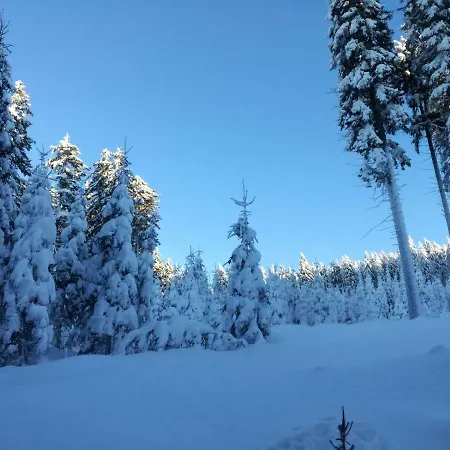 Przy Polanie Privatunterkunft Stronie Śląskie