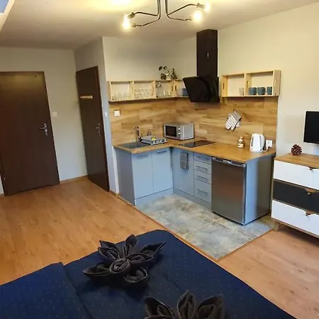 Privatunterkunft Przy Polanie