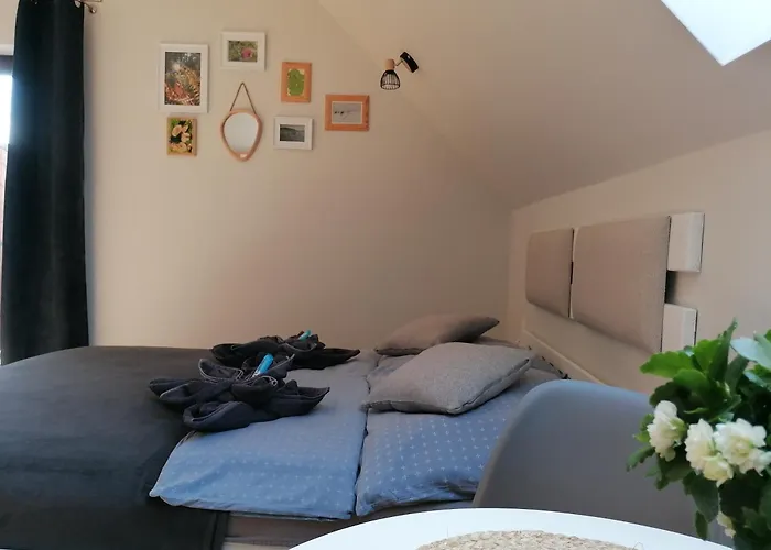 Homestay szállás Przy Polanie