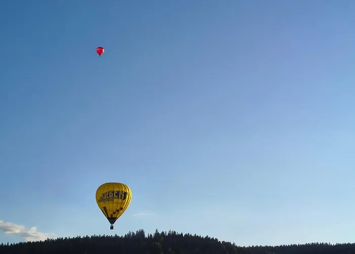 Homestay szállás Przy Polanie *