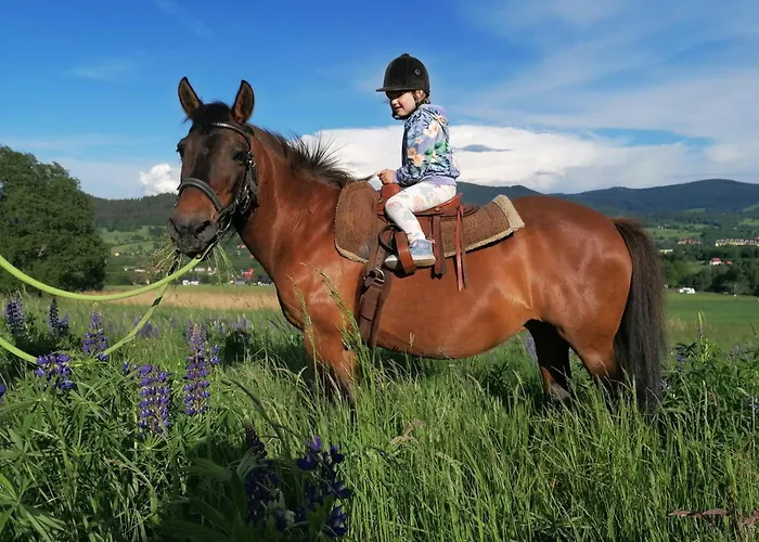 Przy Polanie * Строне-Слёнске