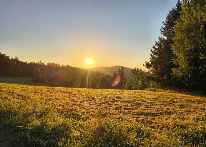 Homestay szállás Przy Polanie