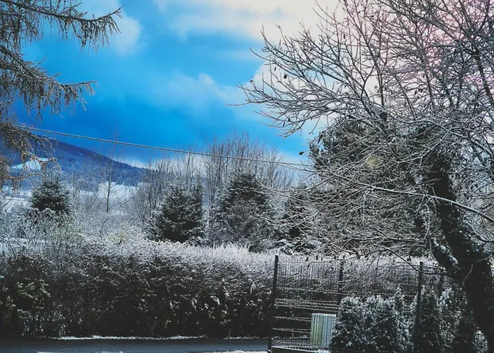 Przy Polanie Проживание в семье Строне-Слёнске