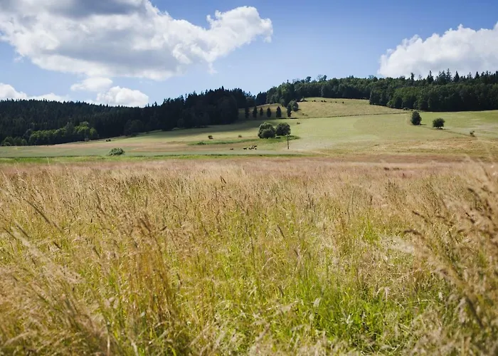 Homestay szállás Przy Polanie *