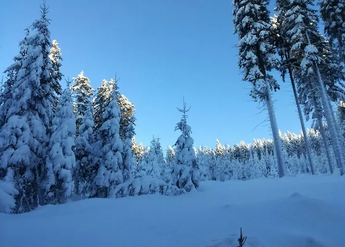 Przy Polanie Homestay szállás Stronie Śląskie